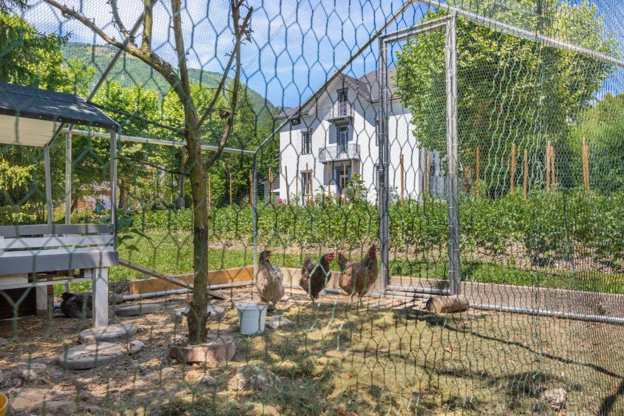 Le Clos Grillet La Chambre Eksteriør billede